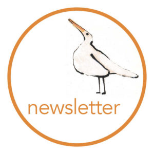 Menù: newsletter